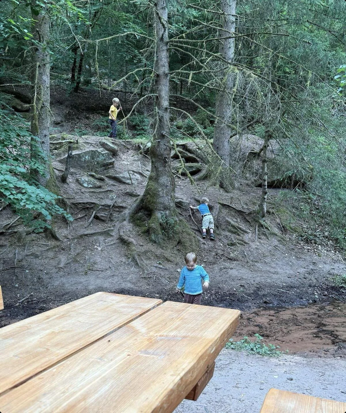 © DAV_KL_Sebastian,Rau