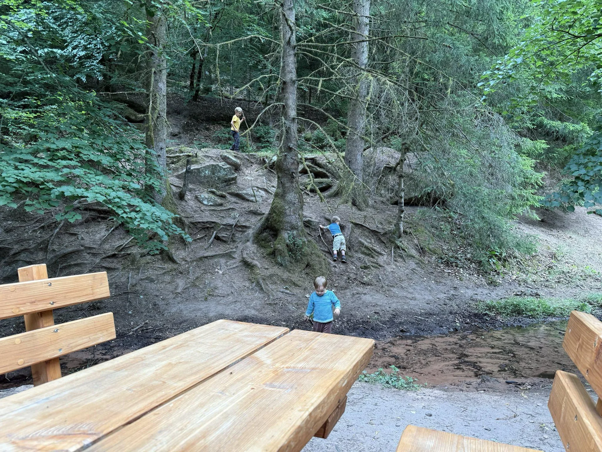 © DAV_KL_Sebastian,Rau