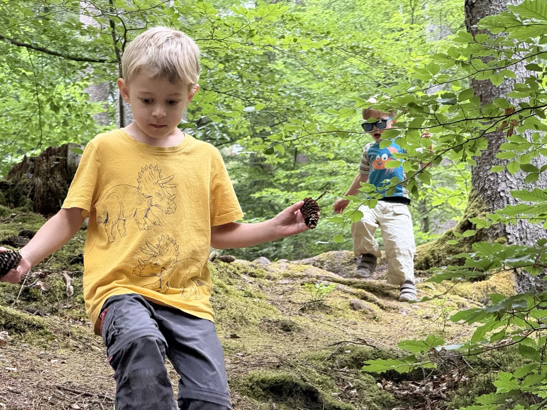 © DAV_KL_Sebastian,Rau