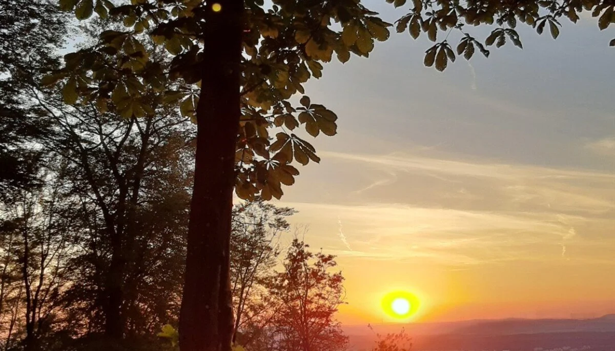 © DAV Kaiserslautern