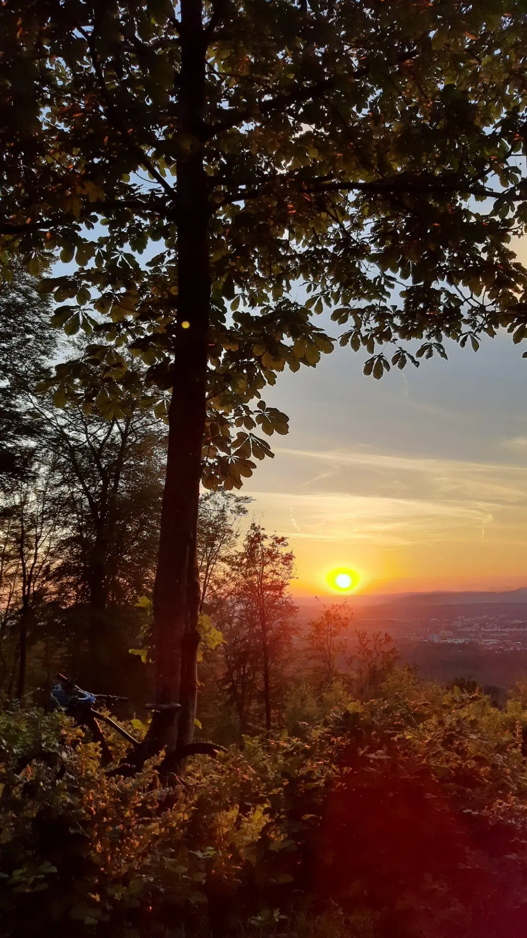 © DAV Kaiserslautern