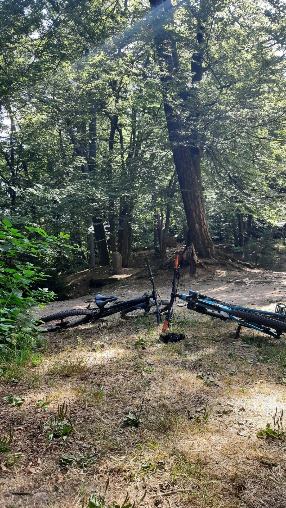 © DAV Kaiserslautern