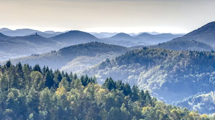 © Bild von dlohner auf Pixabay