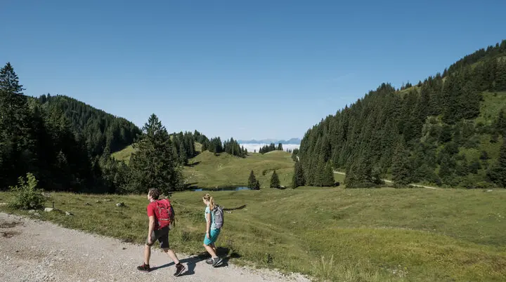 Zwei Wanderer auf einem Bergpfad in den Chiemgauer Alpen | © DAV/Hans Herbig